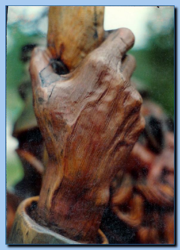 anatomy-0048