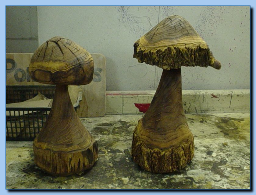 2-21toadstool-archive-0006