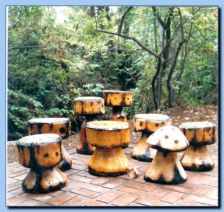 2-21toadstool-archive-0009